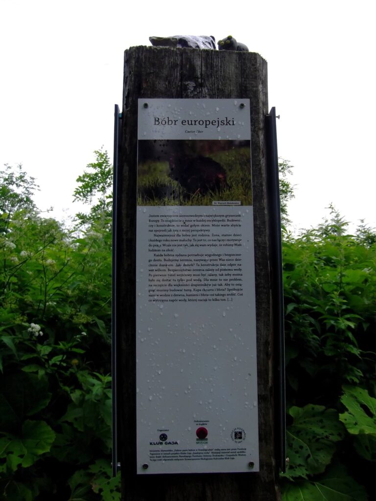 Dwór Miłosza w Krasnogrudzie 14 21740813 850750115092118 7575122116671811332 o -