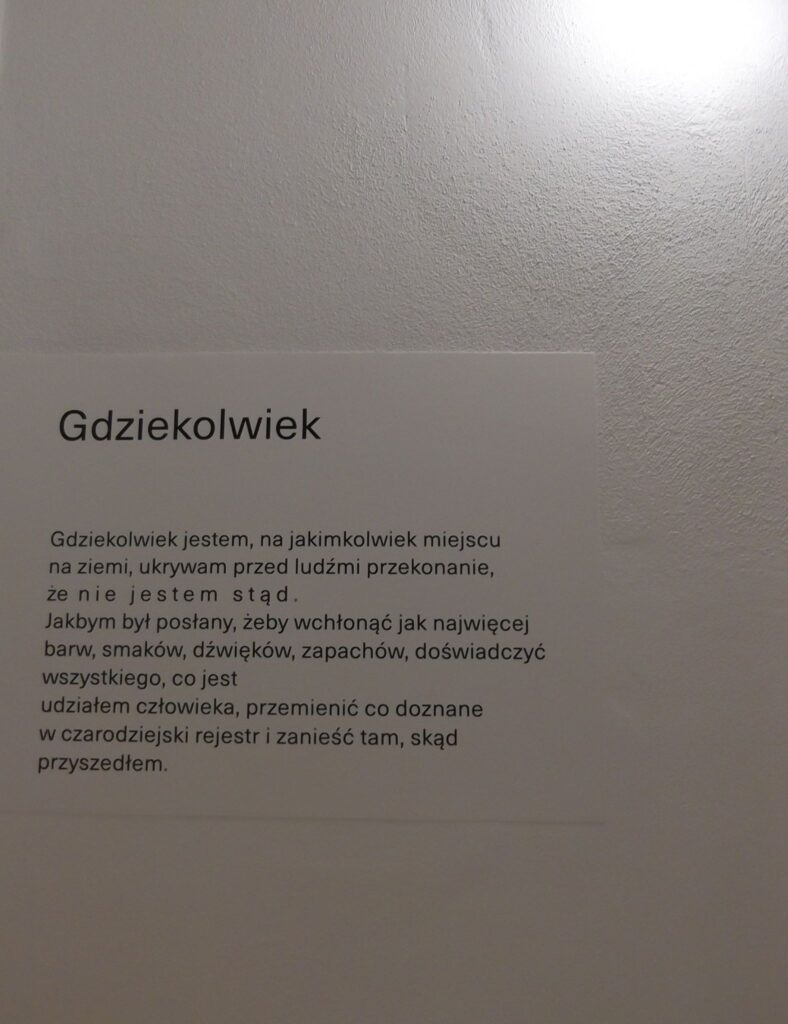 Dwór Miłosza w Krasnogrudzie 9 21741174 850750125092117 407019056554693230 o -