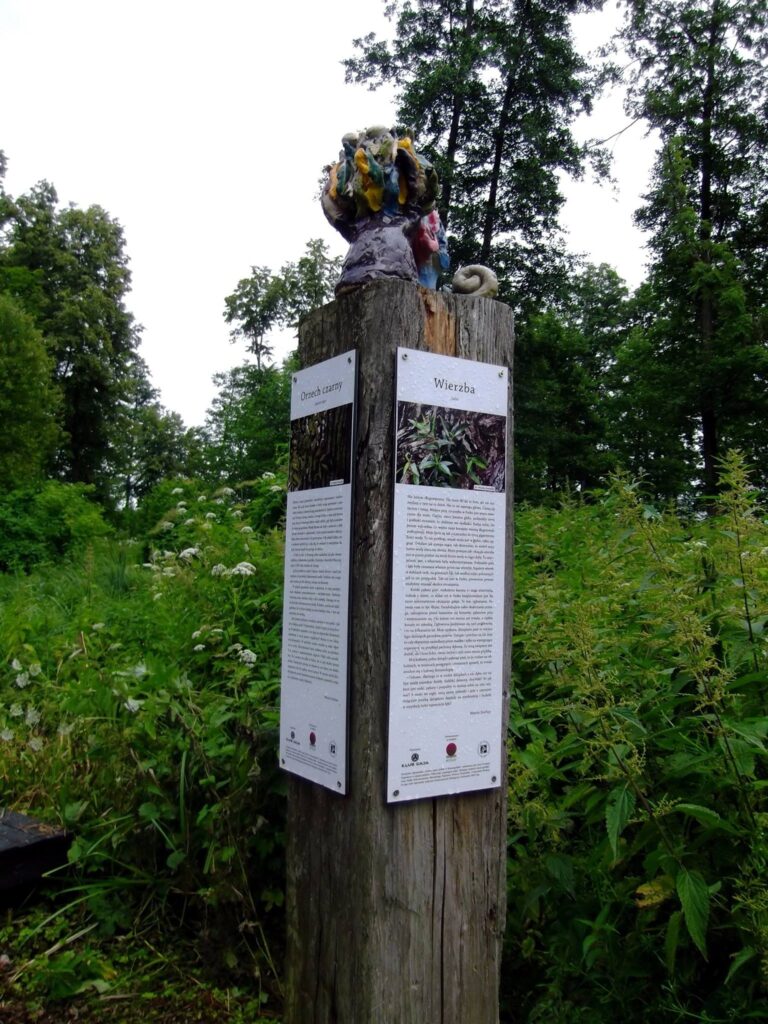 Dwór Miłosza w Krasnogrudzie 7 Dwór Miłosza w Krasnogrudzie, Czesław Miłosz, Fundacja Pogranicze, Sejny