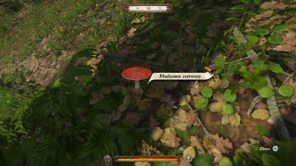 Kingdom Come: Deliverance 2, KCD 2 