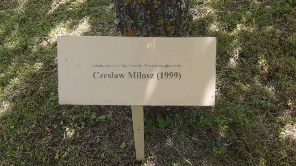 Czesław Miłosz i jego dom rodzinny 2 Czesław Miłosz i dąb w Szetejniach w 1999 roku.